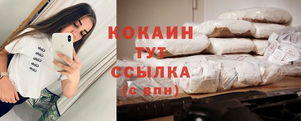 винт Лабытнанги