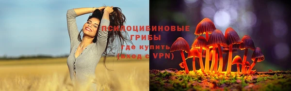 винт Лабытнанги
