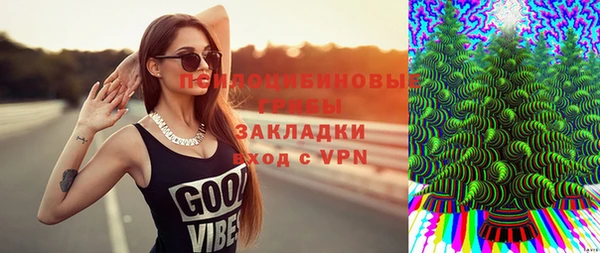 винт Лабытнанги