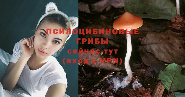 винт Лабытнанги