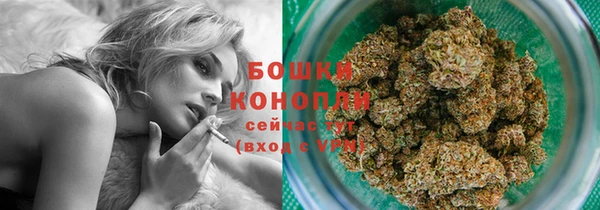 винт Лабытнанги